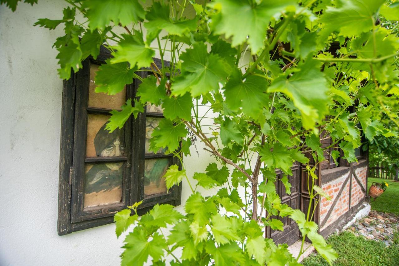 Lodge Morava Vrnjačka Banja Exterior foto